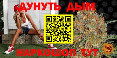 стаф Краснокаменск