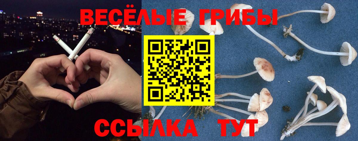 Галлюциногенные грибы мухоморы  Псилоцибиновые грибы прущие грибы  Ейск  Вход с VPN 